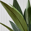 Ave De Paraíso 1,8 M