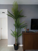Palmera Roystonea 240cm Regia Desmontable