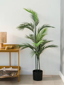 Planta Palmera Areca 110Cm Calidad Premium