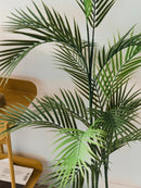 Planta Palmera Areca 110Cm Calidad Premium