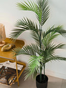 Planta Palmera Areca 110Cm Calidad Premium