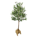 Olivo artificial premium, grande y realista – Planta permanente de 160 cm