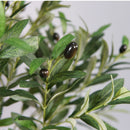 Olivo artificial premium, grande y realista – Planta permanente de 160 cm