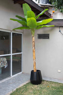 Árbol planta Banano Artificial 300cm